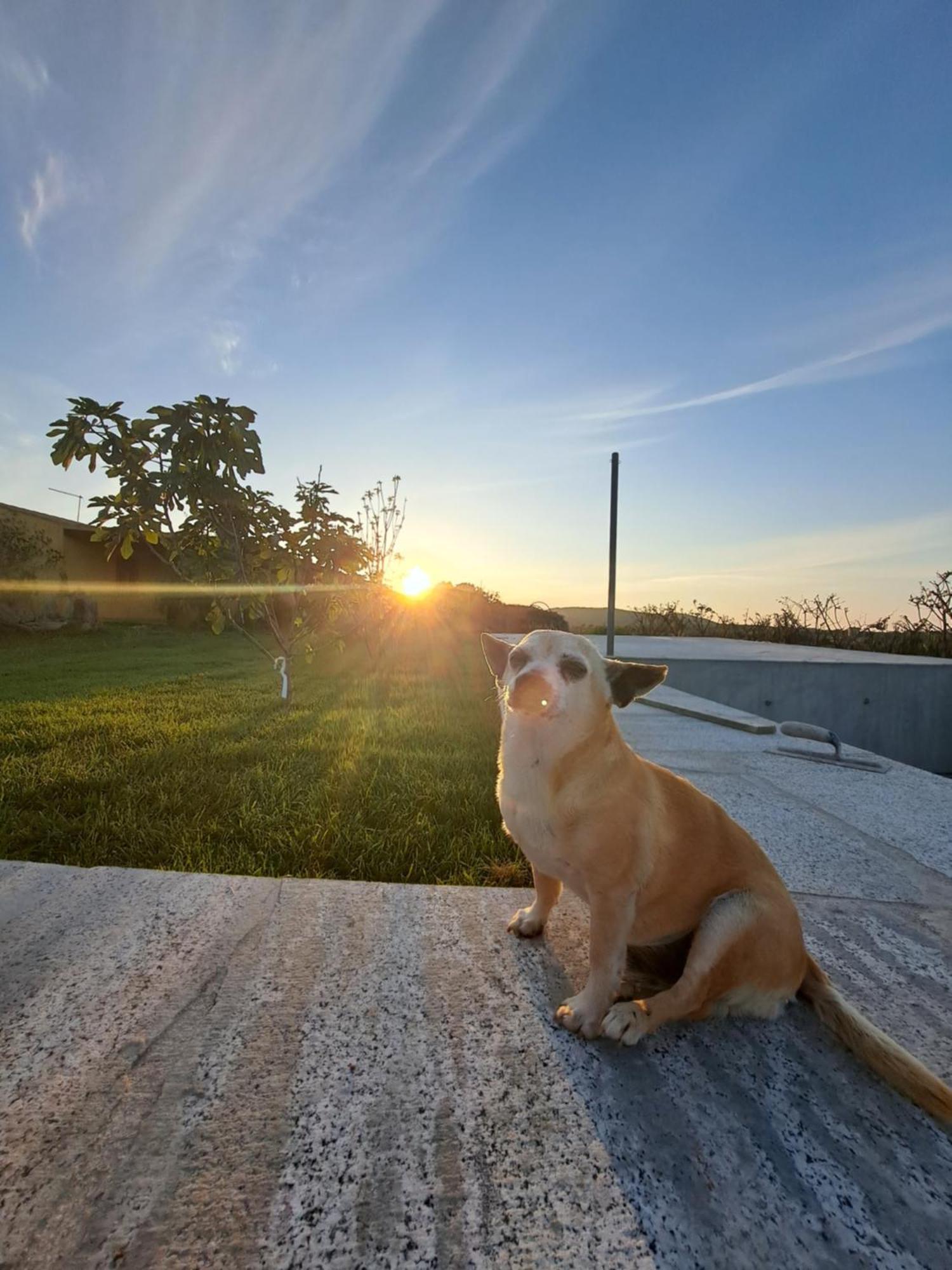 Agriturismo Lu Nodu Greuli Экстерьер фото