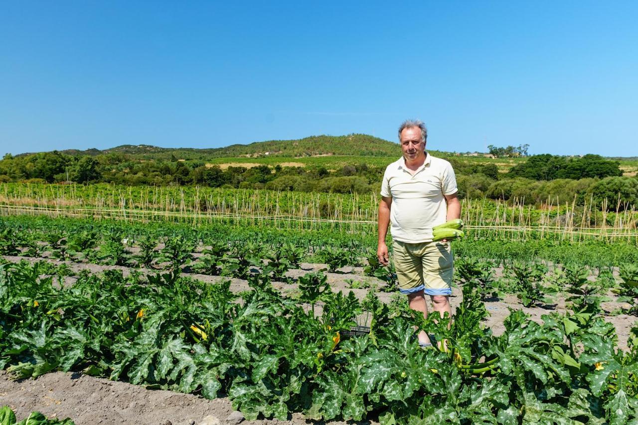 Agriturismo Lu Nodu Greuli Экстерьер фото